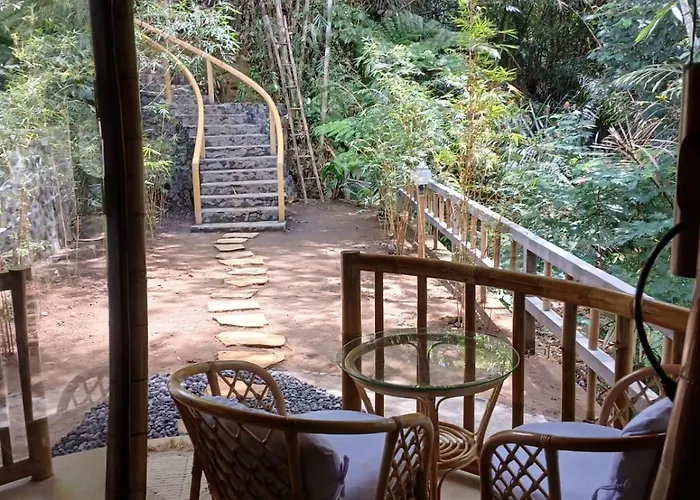 Ecobamboohouse Salacca * マンギス