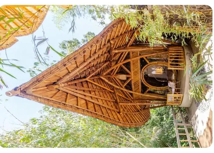 Ecobamboohouse Salacca * マンギス