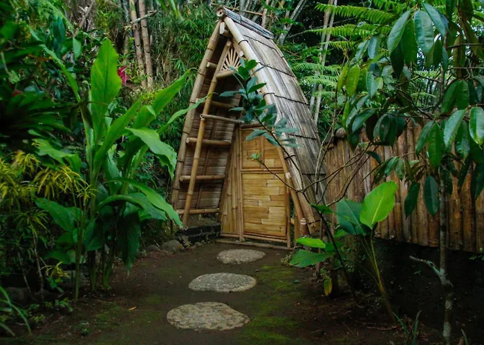 カントリーハウス Ecobamboohouse Salacca