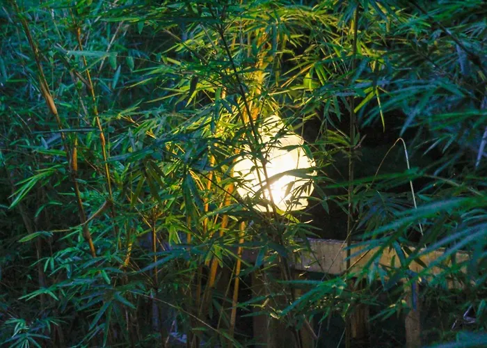 Ecobamboohouse Salacca マンギス