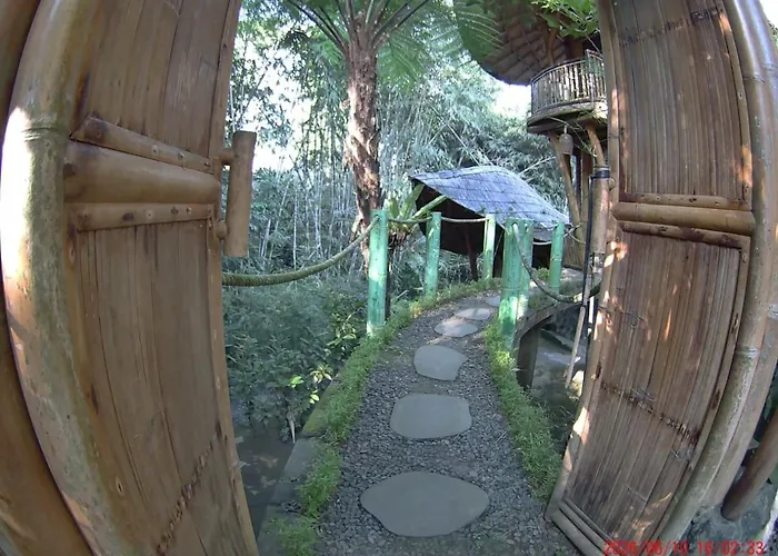 カントリーハウス Ecobamboohouse Salacca