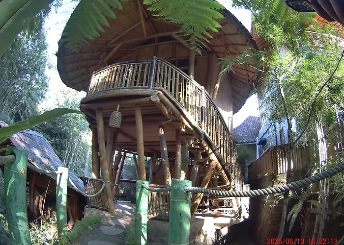Ecobamboohouse Salacca *