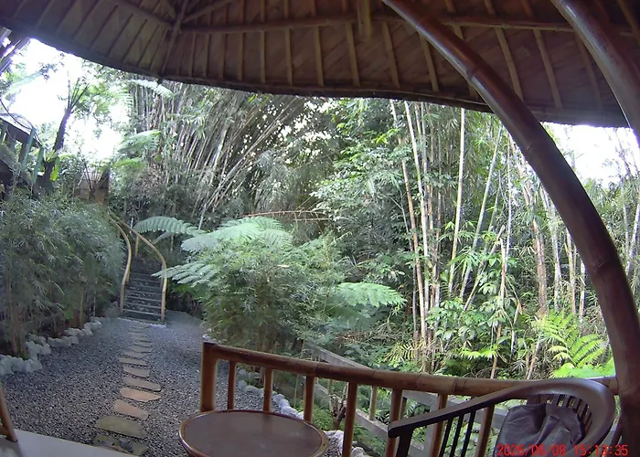 Ecobamboohouse Salacca *