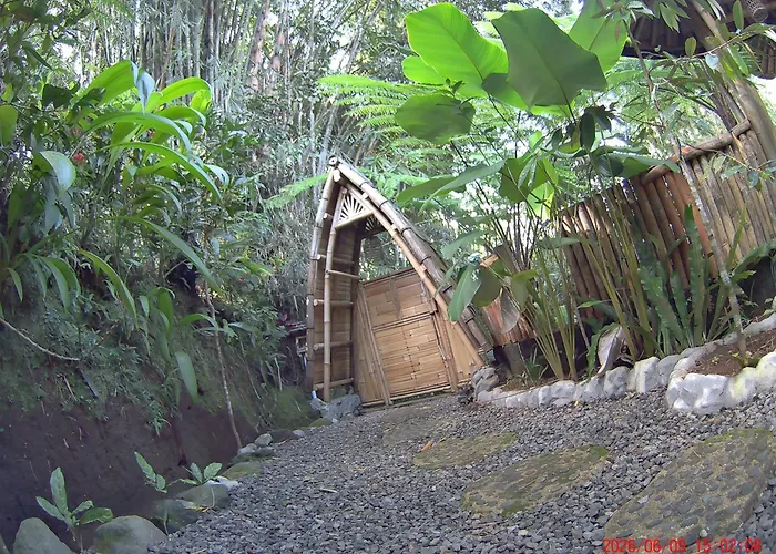 Ecobamboohouse Salacca * マンギス